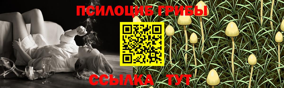 Псилоцибиновые грибы Psilocybine cubensis Биробиджан