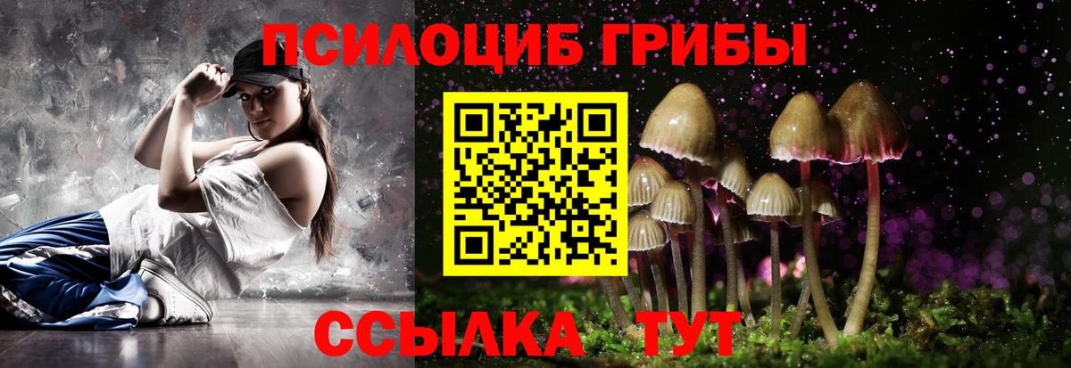 Псилоцибиновые грибы Psilocybe  Вход с VPN  Биробиджан 